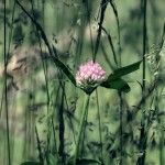 DSCF2153